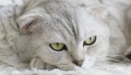 金沙娱乐注册|足球赛事v2.2.5